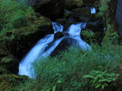 Warm Springs run-off