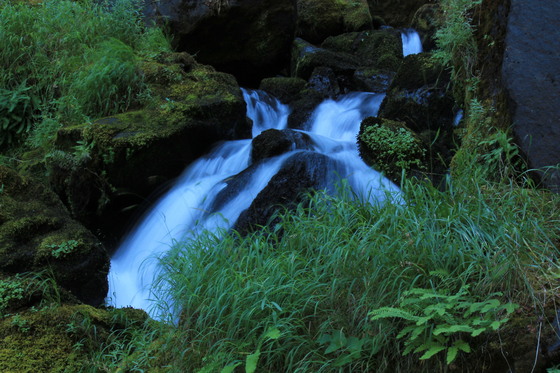 Warm Springs run-off