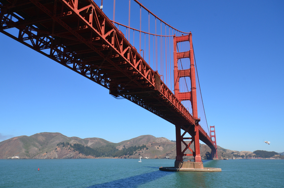 Fort Point NHS