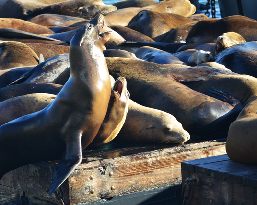 San Francisco Maritime NHP