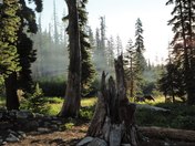 Six Rivers National Forest