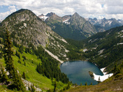 Okanogon National Forest