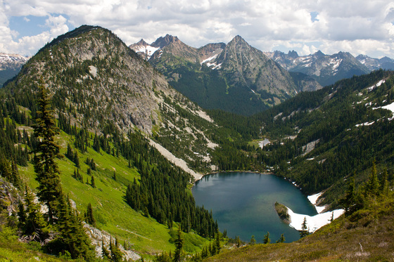 Okanogon National Forest