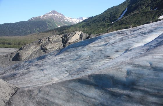 Kenai Fjords National Park