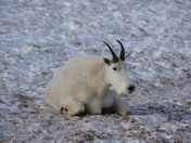 Glacier National Park
