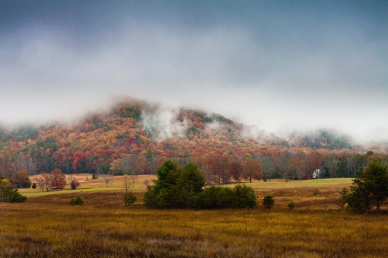 Great Smoky Mountain National Park