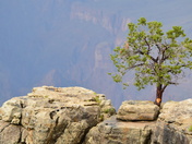 Grand Canyon National Park