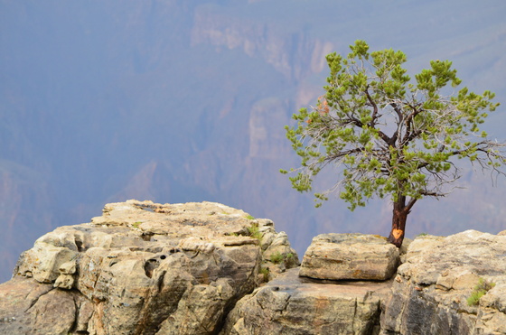 Grand Canyon National Park