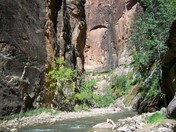 Zion National Park
