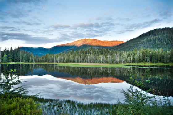 Tongass National Forest