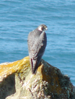 Reyes Point National Park
