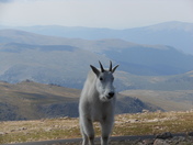 Mount Evans, Colorado