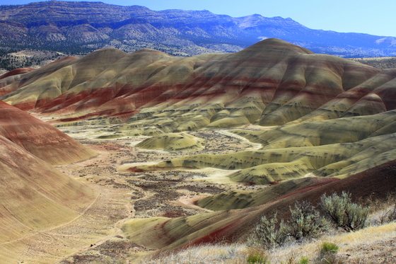 John Day Fossil Beds
