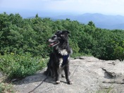 Chattahoochee National Forest | Blood Mountain Wilderness