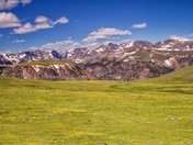 Custer National Forest