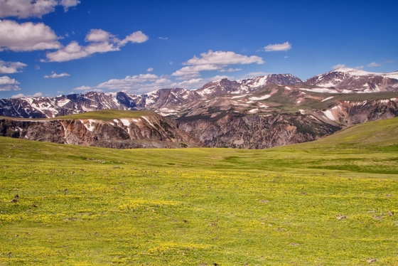 Custer National Forest