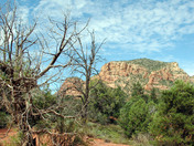 Bell Rock Path Sedona