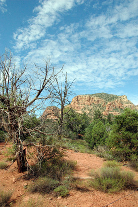 Bell Rock Path Sedona