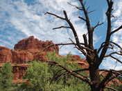 Bell Rock/ Sedona