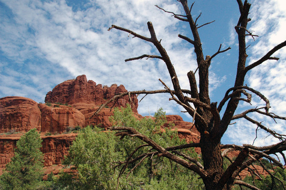 Bell Rock/ Sedona