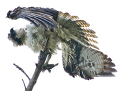 Everglades National Park