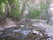 Gila National Forest