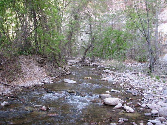 Gila National Forest