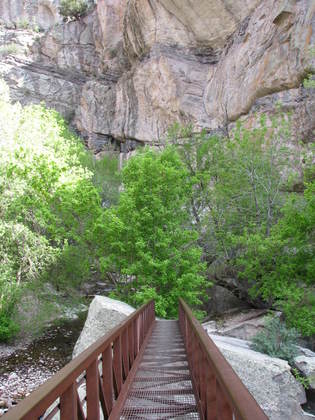 Gila National Forest