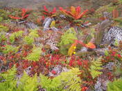Haleakala National Park