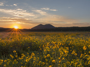 Coconino National Forest and Sunset Crater Volcano National Monument