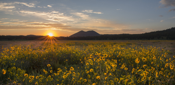 Coconino National Forest and Sunset Crater Volcano National Monument