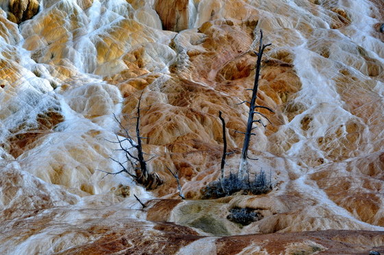Yellowstone National Park