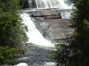 Pisgah National Forest