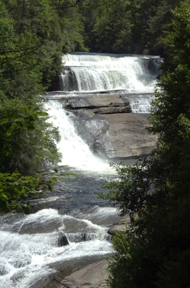 Pisgah National Forest