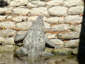 Everglades National Park