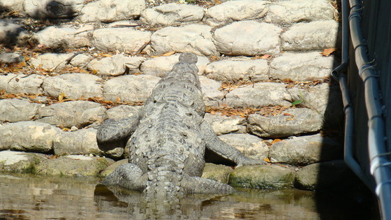 Everglades National Park