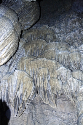 Oregon Caves National Park