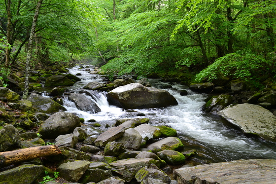 Great Smoky Mountains National Park