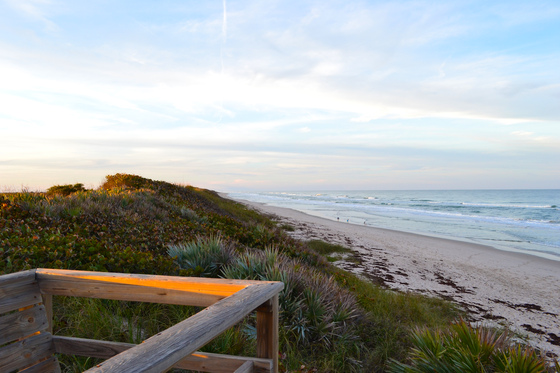 Canaveral National Seashore