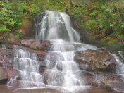 Smoky Mountains National Park