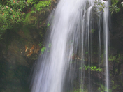 Great Smoky Mountains National park