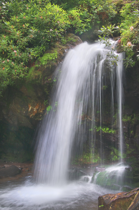 Great Smoky Mountains National park