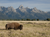 Grand Tetons National Park