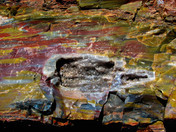 Petrified Forest National Park - National Park Service