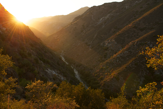 Kings Canyon National Park