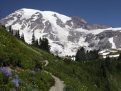 Mt. Rainier National Park