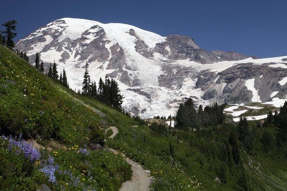 Mt. Rainier National Park