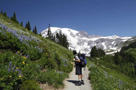 Mt. Rainier National Park