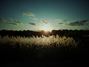 6a. The sun goes done