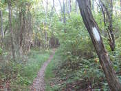 Shenandoah National Park